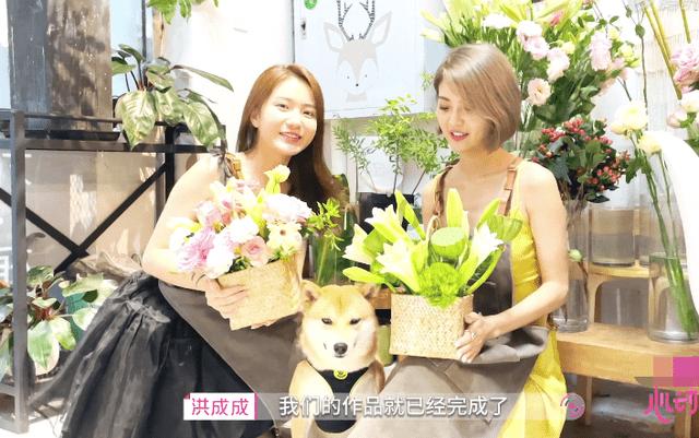 逃离马儿森林